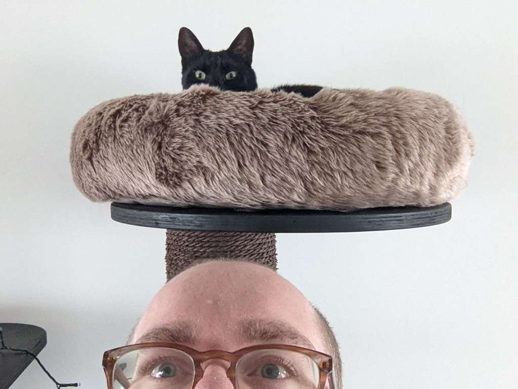 Een zwarte kat kijkt met gele ogen over de rand van een pluizige bruine mand boven op een krabpaaltoren. Onder de kat is de helft van het hoofd van de eigenaar te zien. 
Ze kijken dezelfde kant op